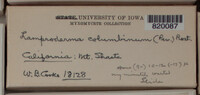 Image Associated With the Occurence